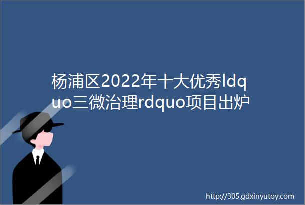 杨浦区2022年十大优秀ldquo三微治理rdquo项目出炉啦