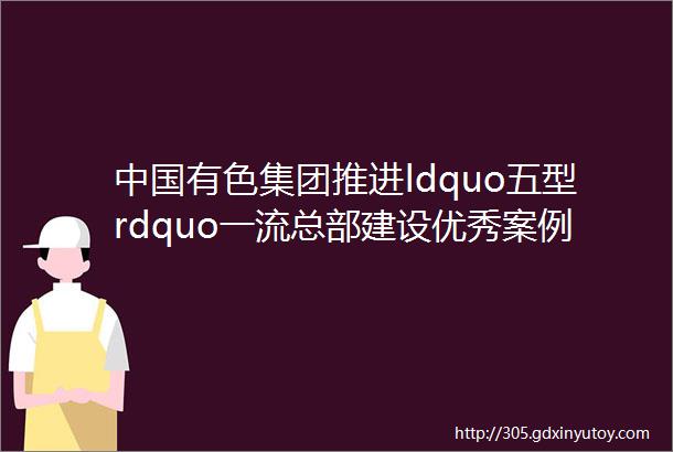 中国有色集团推进ldquo五型rdquo一流总部建设优秀案例作品展示二